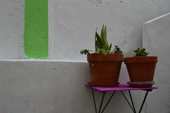Terrace Hostal *